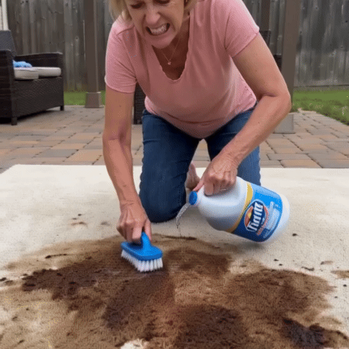 🔥60% OFF TODAY🔥 Waterless Carpet Foam Stain Remover with Towel