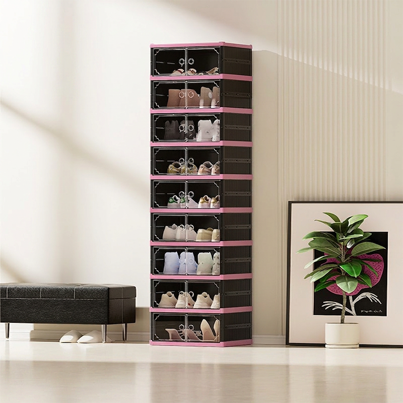 Shoe Cabinet with Clear Doors