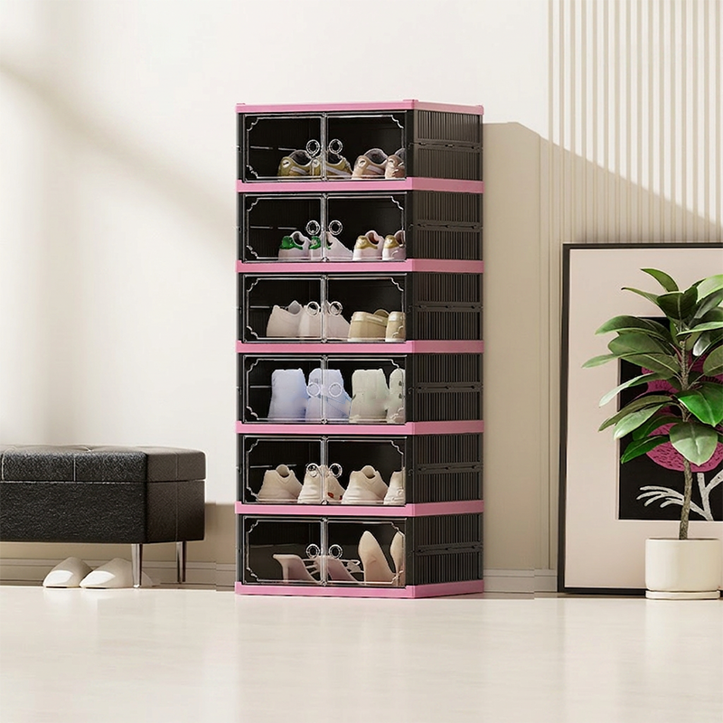 Shoe Cabinet with Clear Doors