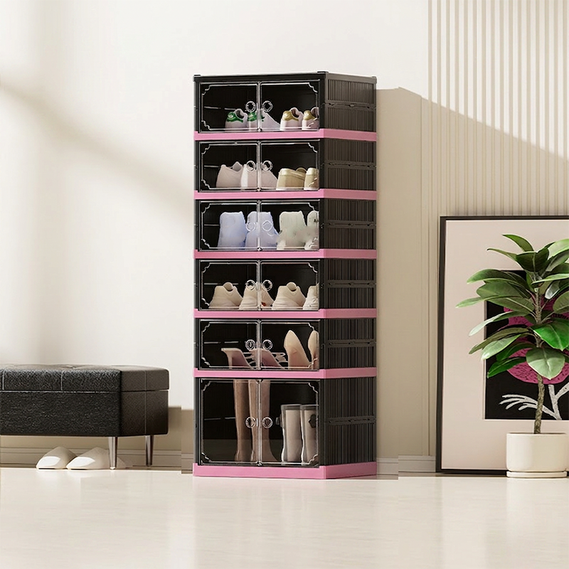 Shoe Cabinet with Clear Doors