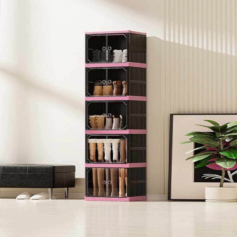 Shoe Cabinet with Clear Doors