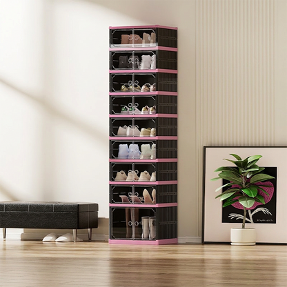 Shoe Cabinet with Clear Doors