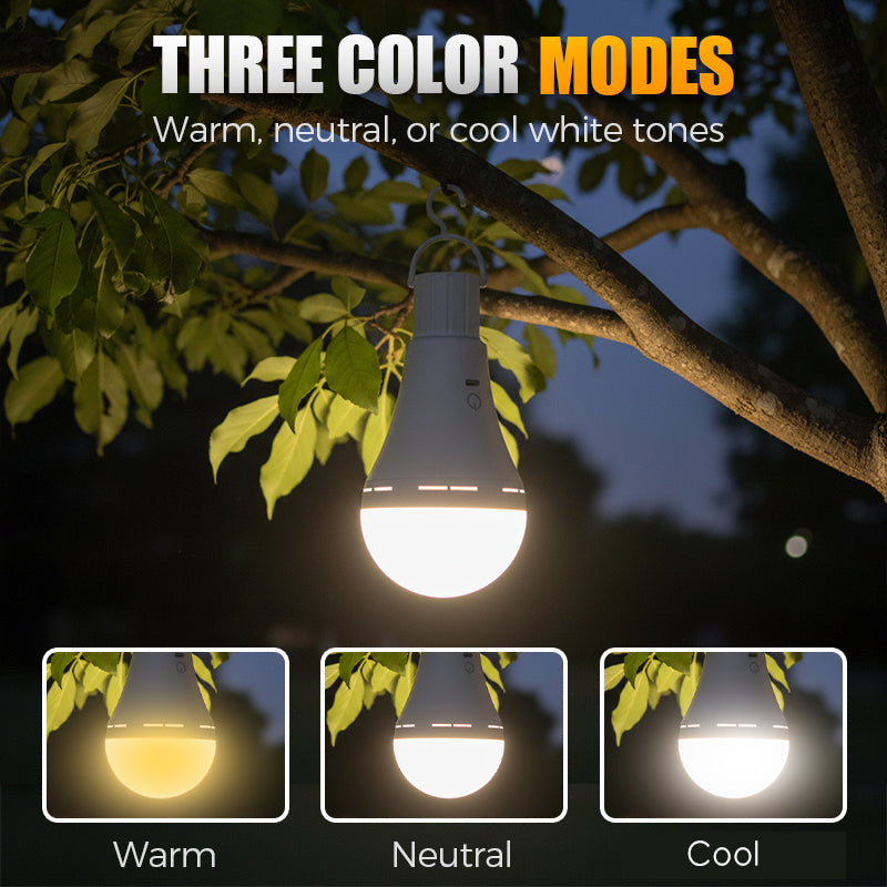 LED Light Bulb