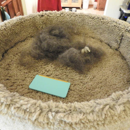 Total Home Pet Hair & Dirt Cleaning Bundle