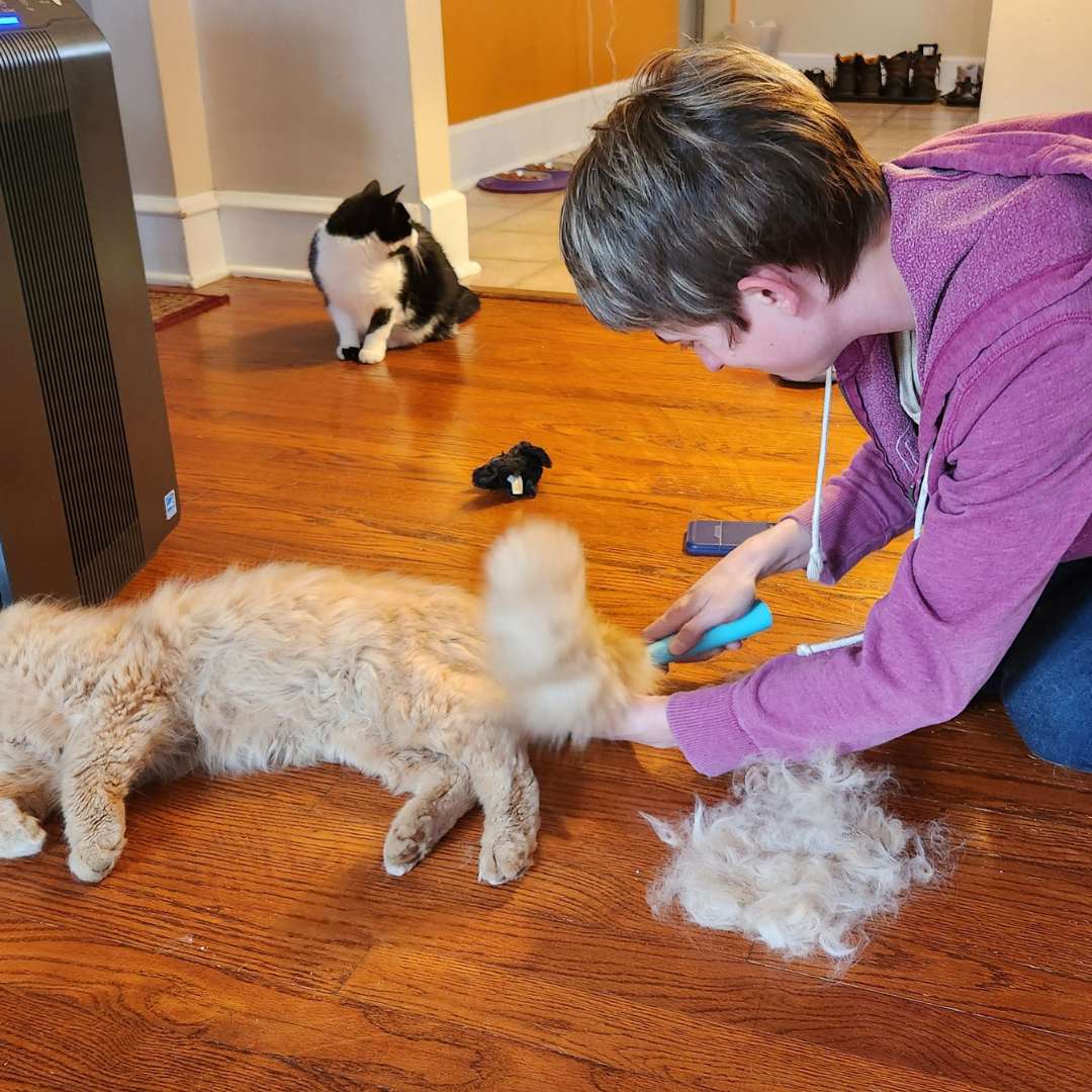 Total Home Pet Hair & Dirt Cleaning Bundle