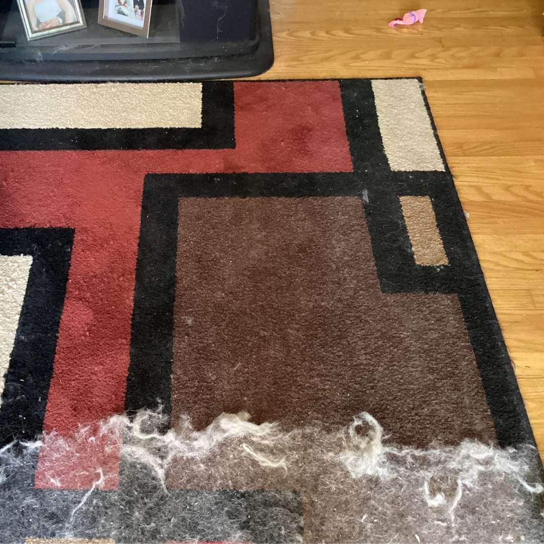 Total Home Pet Hair & Dirt Cleaning Bundle