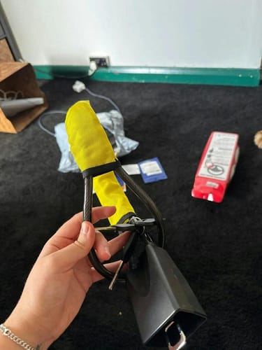 Customer photo review of CarGuard by Amanda R.
